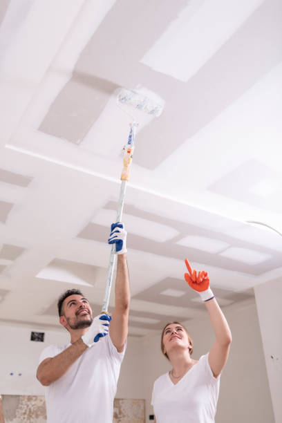 Best Drywall Patching  in Midtown, TN